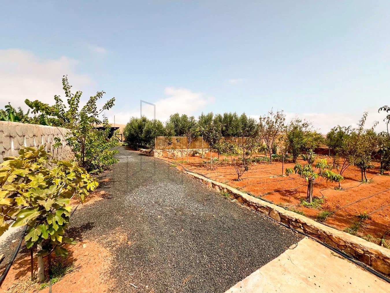 3 soveværelse Villa til salg i Llanos de la Concepcion med garage - € 650.000 (Ref: 8449924)