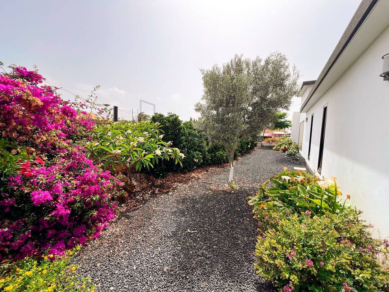 3 soveværelse Villa til salg i Llanos de la Concepcion med garage - € 650.000 (Ref: 8449924)