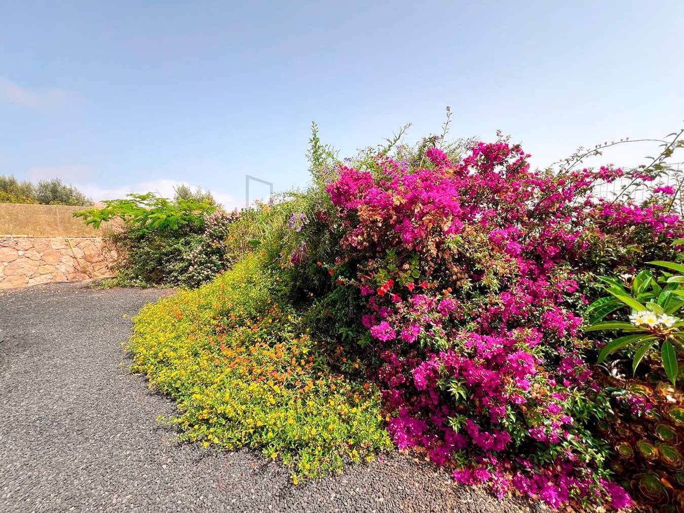 3 soveværelse Villa til salg i Llanos de la Concepcion med garage - € 650.000 (Ref: 8449924)