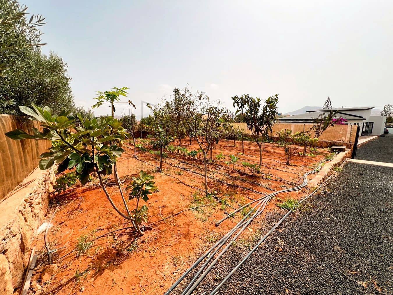 3 soveværelse Villa til salg i Llanos de la Concepcion med garage - € 650.000 (Ref: 8449924)