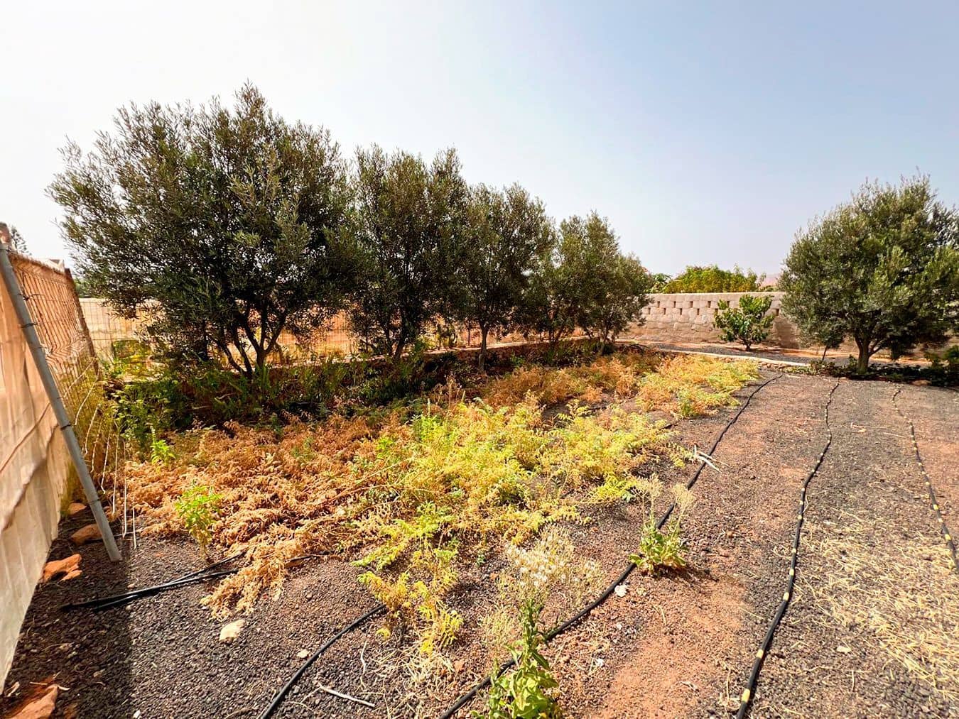 3 soveværelse Villa til salg i Llanos de la Concepcion med garage - € 650.000 (Ref: 8449924)