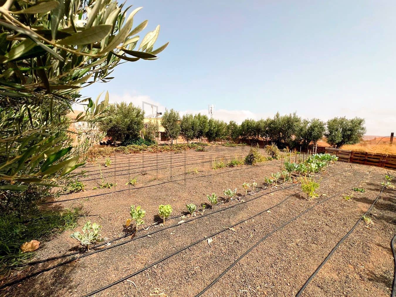 3 soveværelse Villa til salg i Llanos de la Concepcion med garage - € 650.000 (Ref: 8449924)