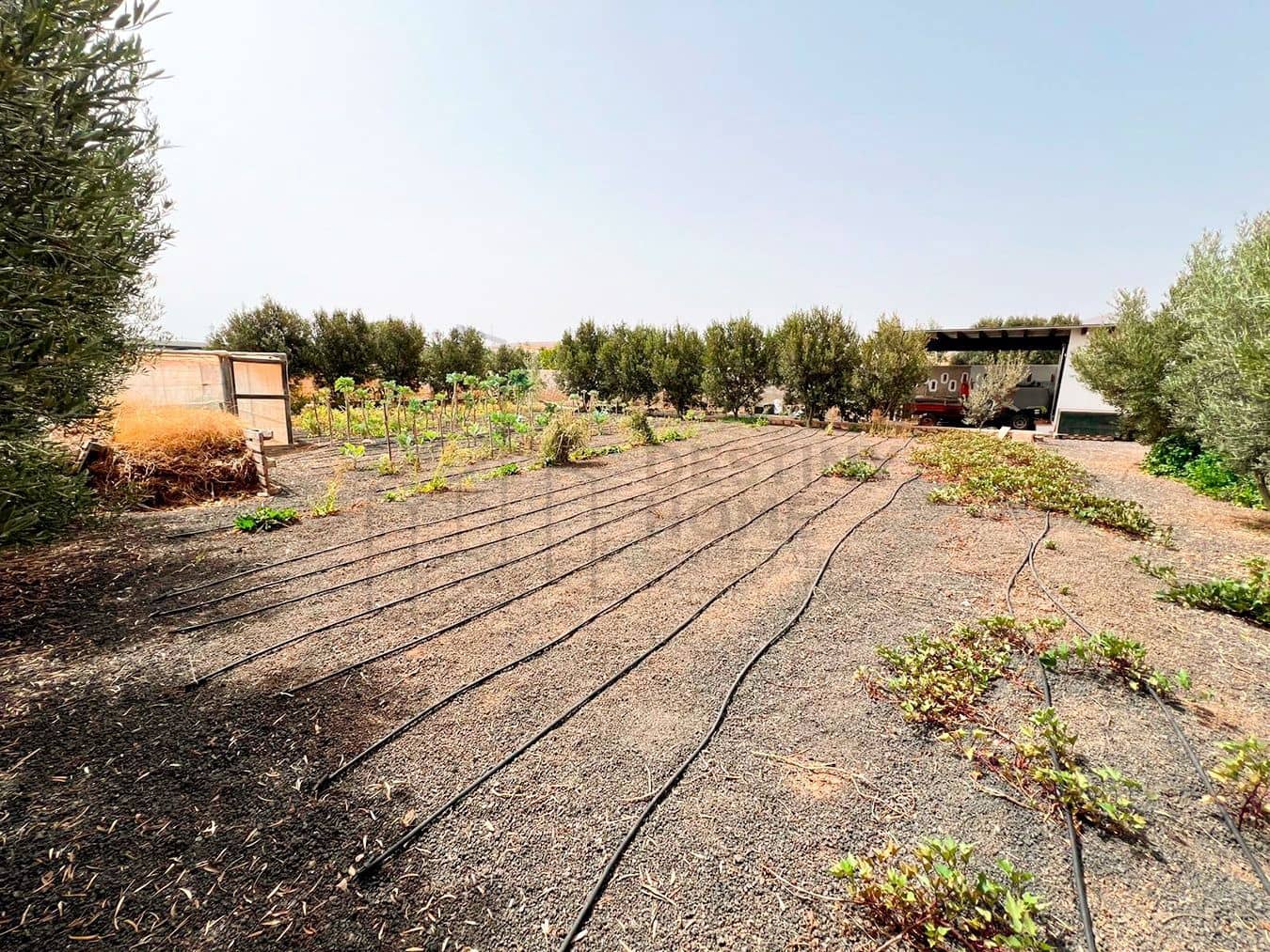 3 soveværelse Villa til salg i Llanos de la Concepcion med garage - € 650.000 (Ref: 8449924)