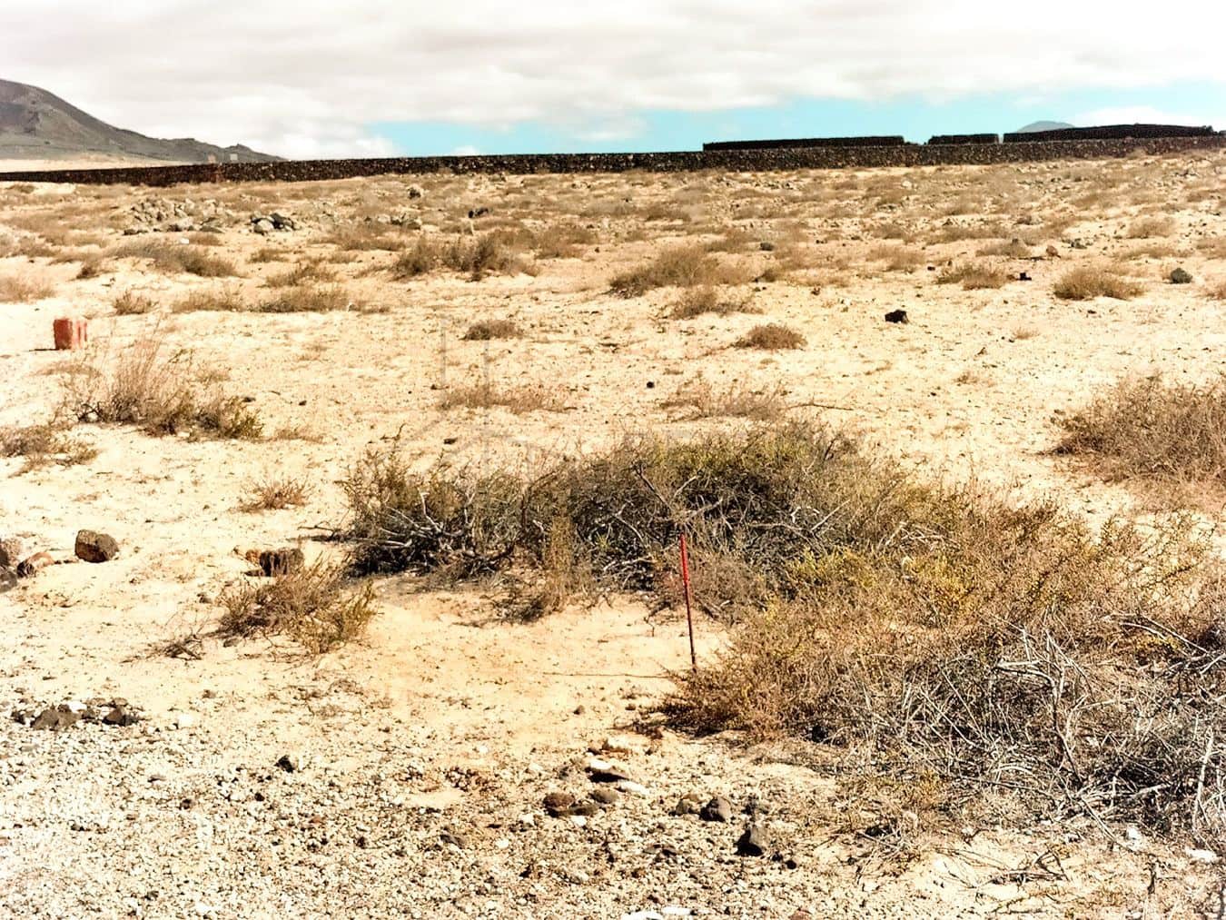 Landgrundstück zu verkaufen in Lajares - 169.000 € (Ref: 8656110)