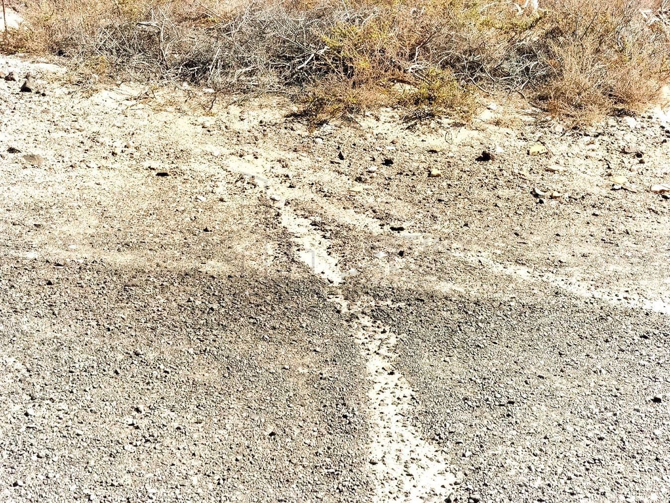 Landgrundstück zu verkaufen in Lajares - 169.000 € (Ref: 8656110)