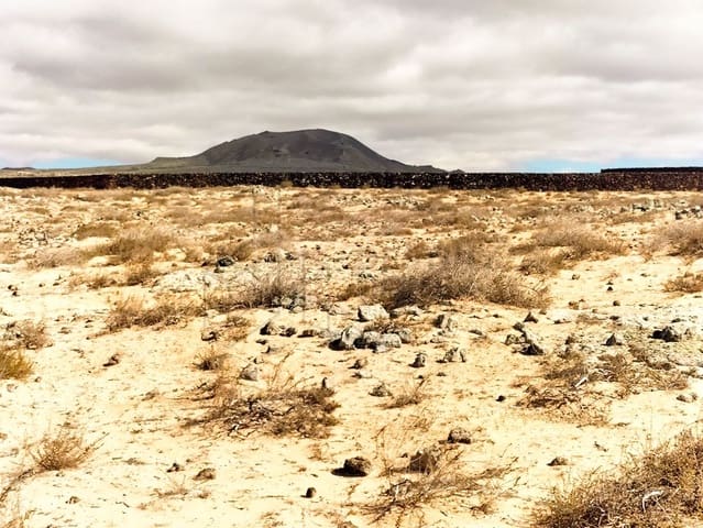 Landgrundstück zu verkaufen in Lajares, La Oliva - 232.000 € (Ref: 8656111)