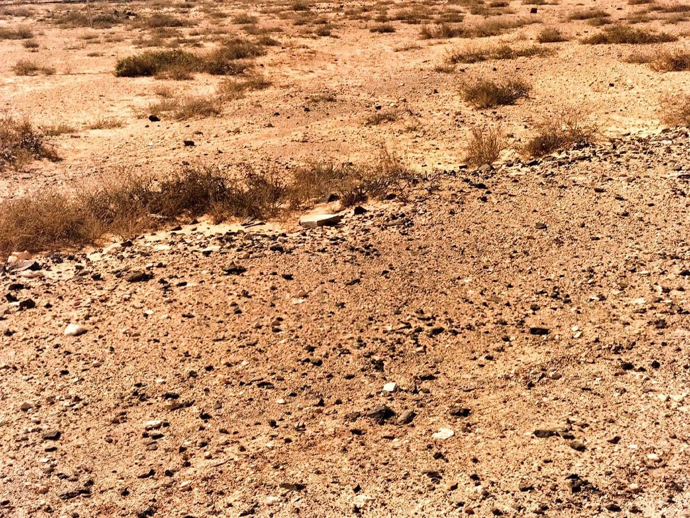 Undeveloped Land for sale in Lajares - € 232,000 (Ref: 8656111)