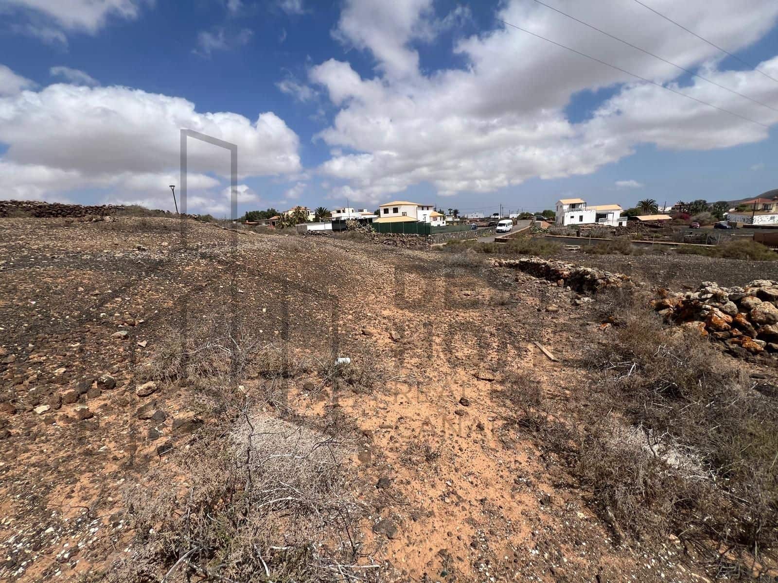 Terre non Aménagée à vendre à Villaverde - 159 000 € (Ref: 8901770)