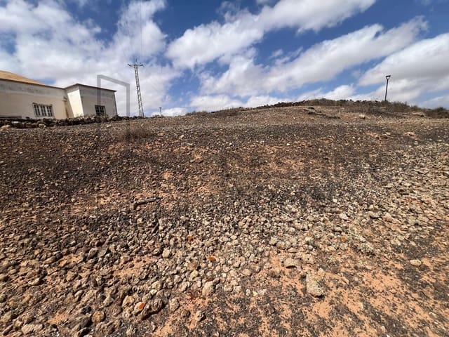 Mark till salu i Villaverde, La Oliva - 189 000 € (Ref: 8901770)