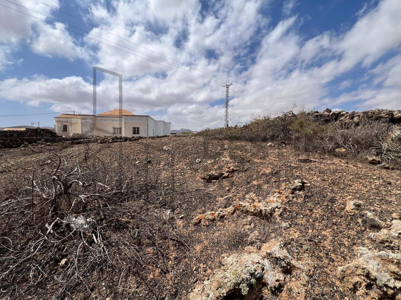 Terre non Aménagée à vendre à Villaverde - 159 000 € (Ref: 8901770)