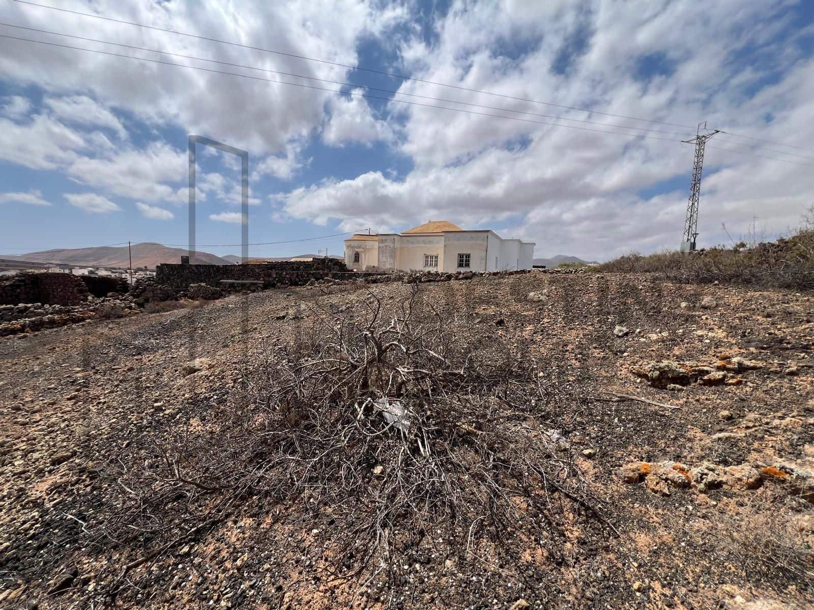 Terre non Aménagée à vendre à Villaverde - 159 000 € (Ref: 8901770)