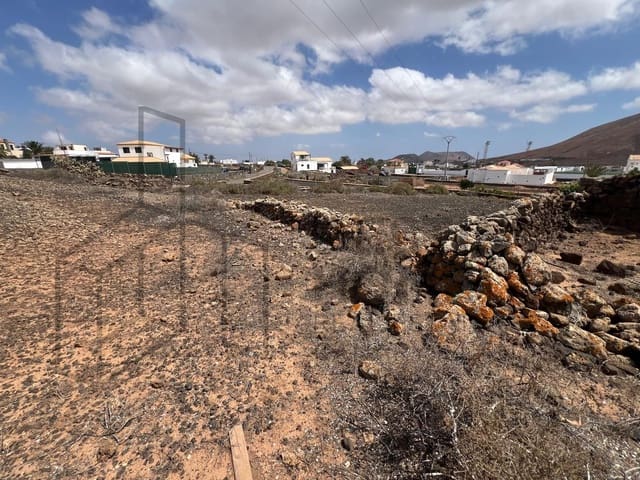 Mark till salu i Villaverde, La Oliva - 189 000 € (Ref: 8901770)