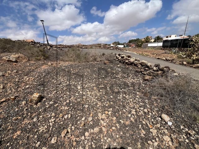 Mark till salu i Villaverde, La Oliva - 189 000 € (Ref: 8901770)