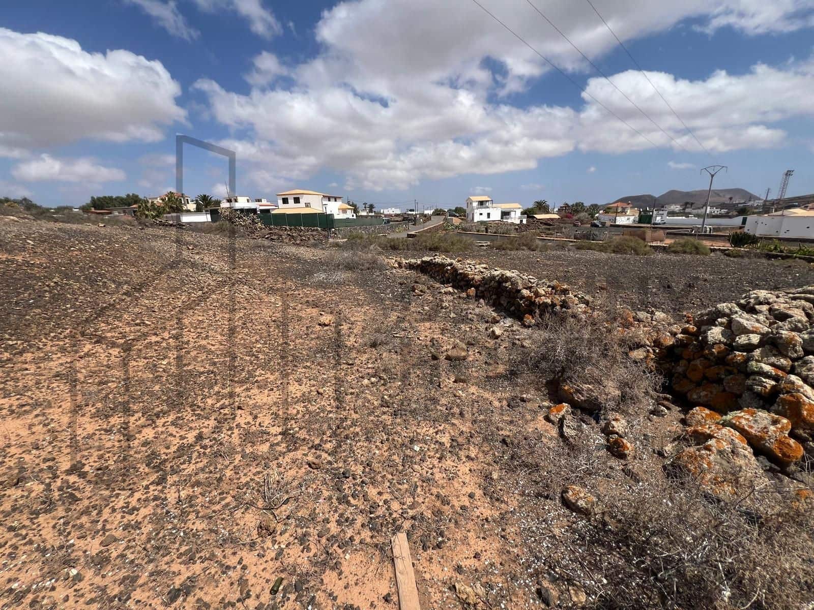 Terre non Aménagée à vendre à Villaverde - 159 000 € (Ref: 8901770)