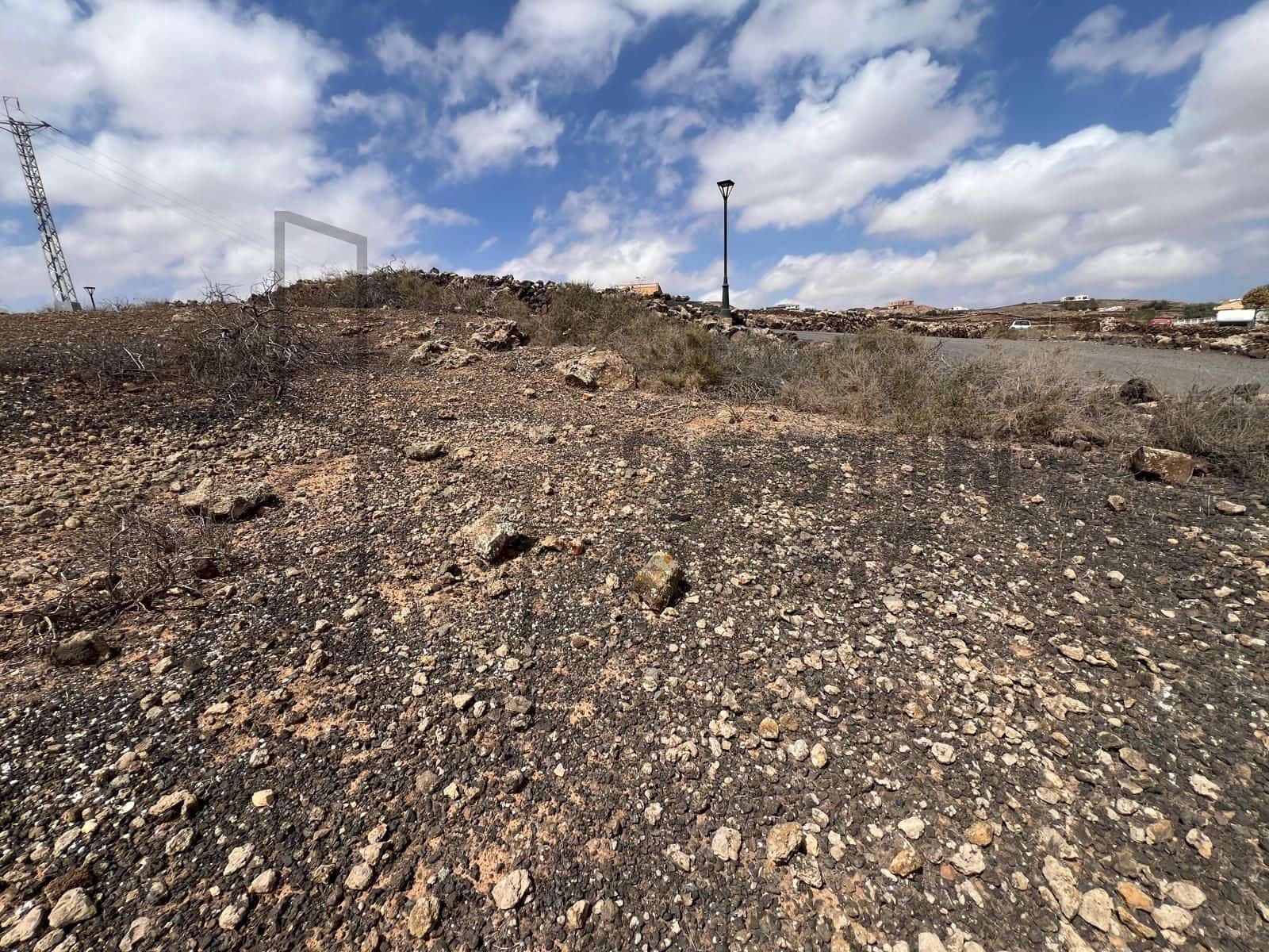 Terre non Aménagée à vendre à Villaverde - 159 000 € (Ref: 8901770)