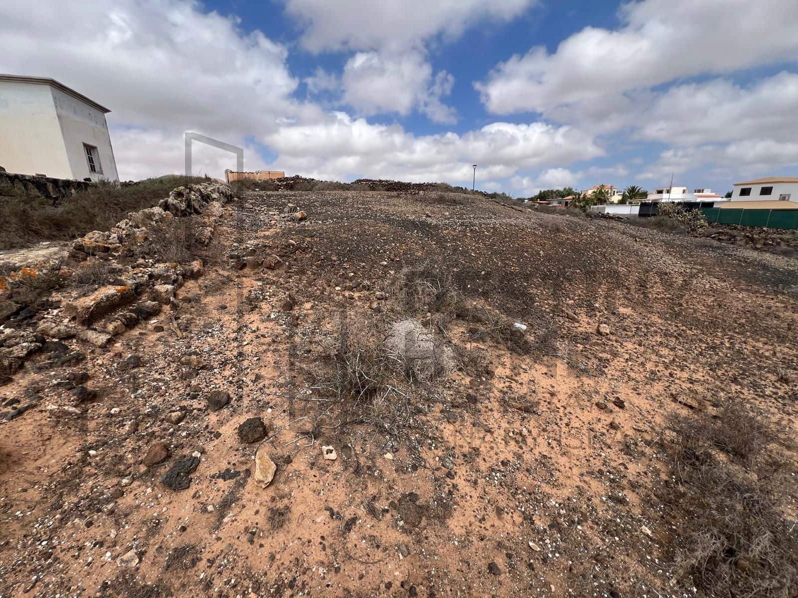 Terre non Aménagée à vendre à Villaverde - 159 000 € (Ref: 8901770)