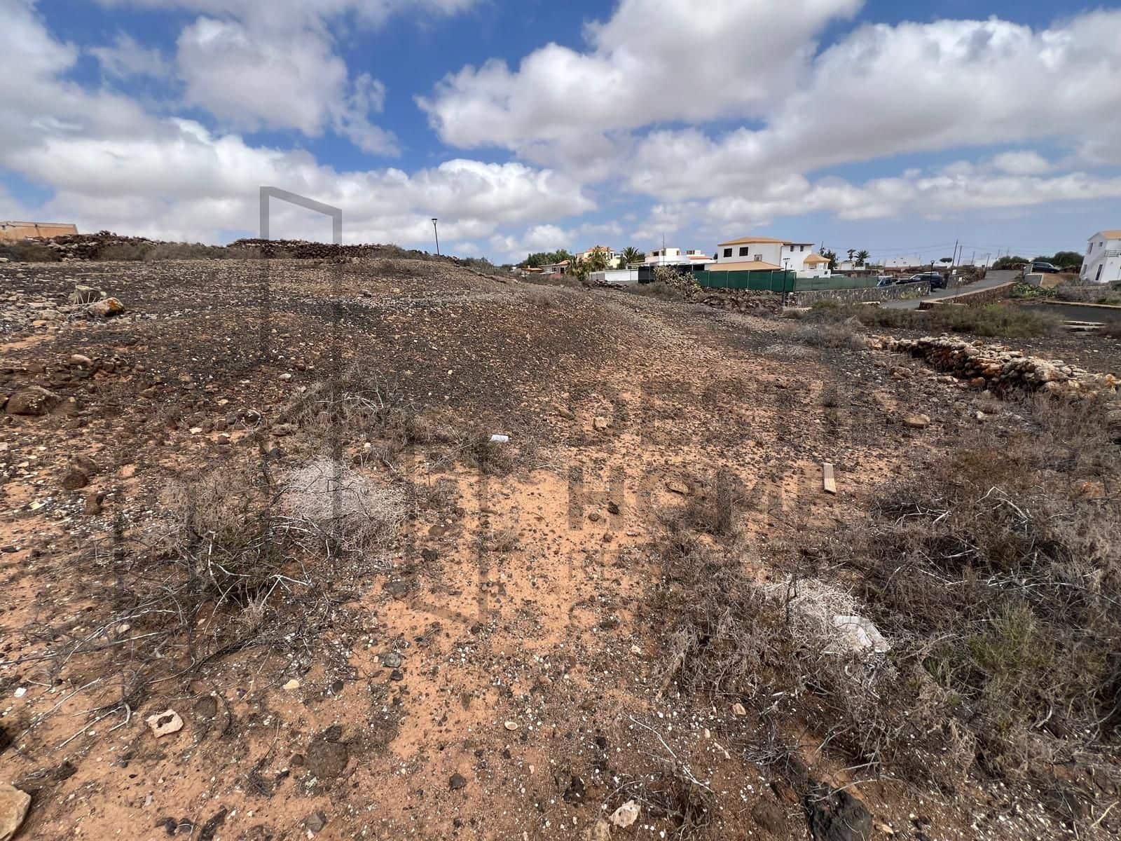 Terre non Aménagée à vendre à Villaverde - 159 000 € (Ref: 8901770)