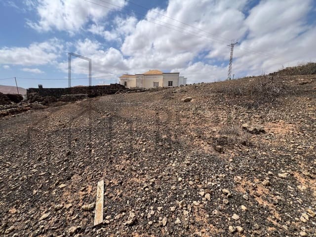 Mark till salu i Villaverde, La Oliva - 189 000 € (Ref: 8901770)