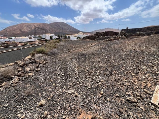 Mark till salu i Villaverde, La Oliva - 189 000 € (Ref: 8901770)