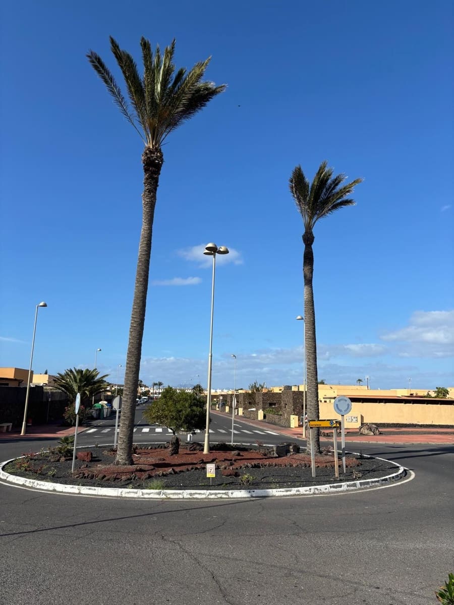 Kaupallinen myytävänä paikassa Corralejo - 800 000 € (Ref: 8912623)