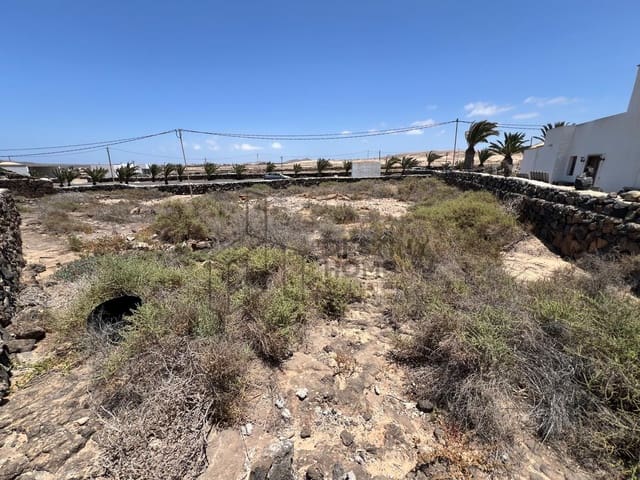 Terre non Aménagée à vendre à Lajares, La Oliva - 249 000 € (Ref: 9007367)