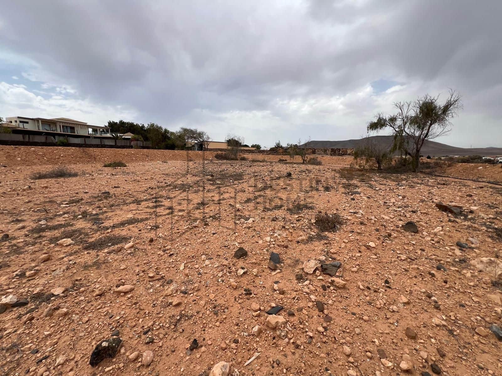 Undeveloped Land for sale in Triquivijate - € 105,000 (Ref: 9084966)