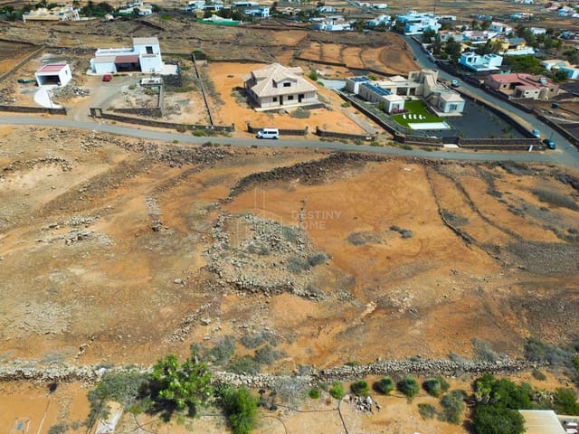 Terre non Aménagée à vendre à Villaverde, La Oliva - 210 000 € (Ref: 9202231)