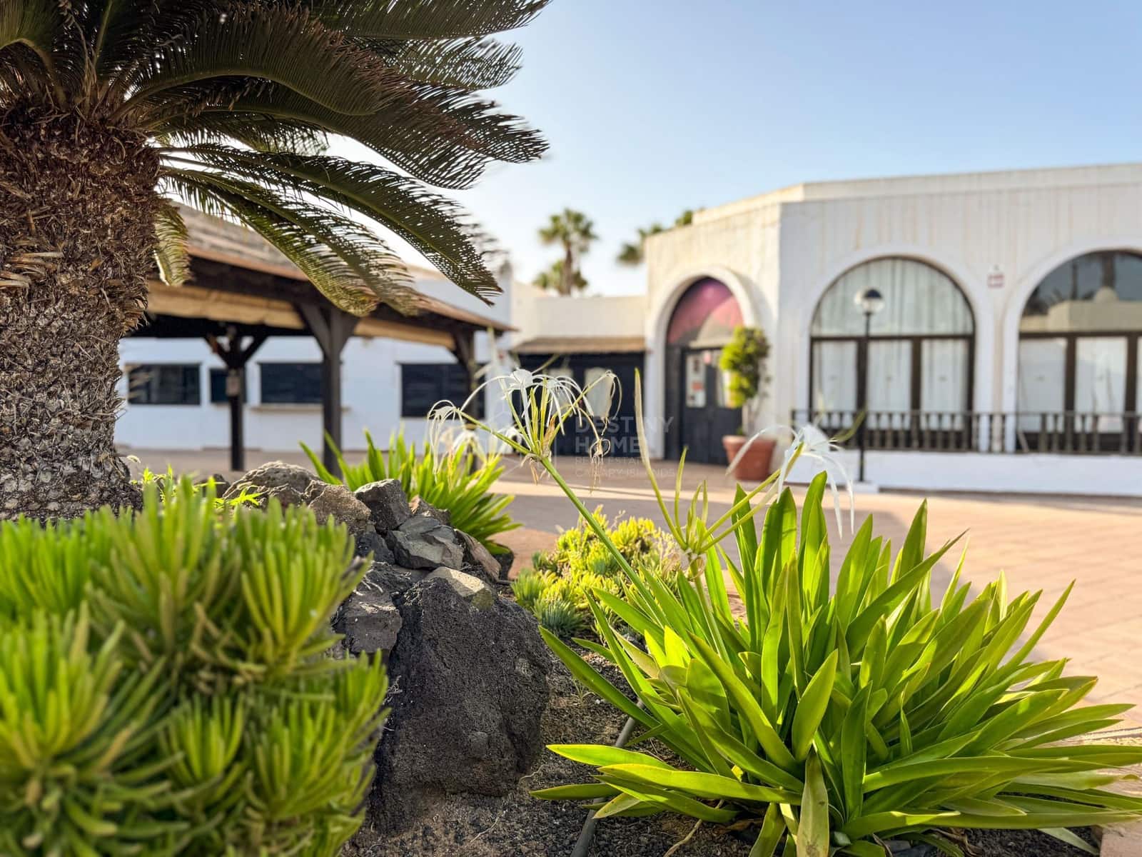 1 camera da letto Appartamento in vendita in Corralejo con piscina garage - 169.000 € (Rif: 9239627)