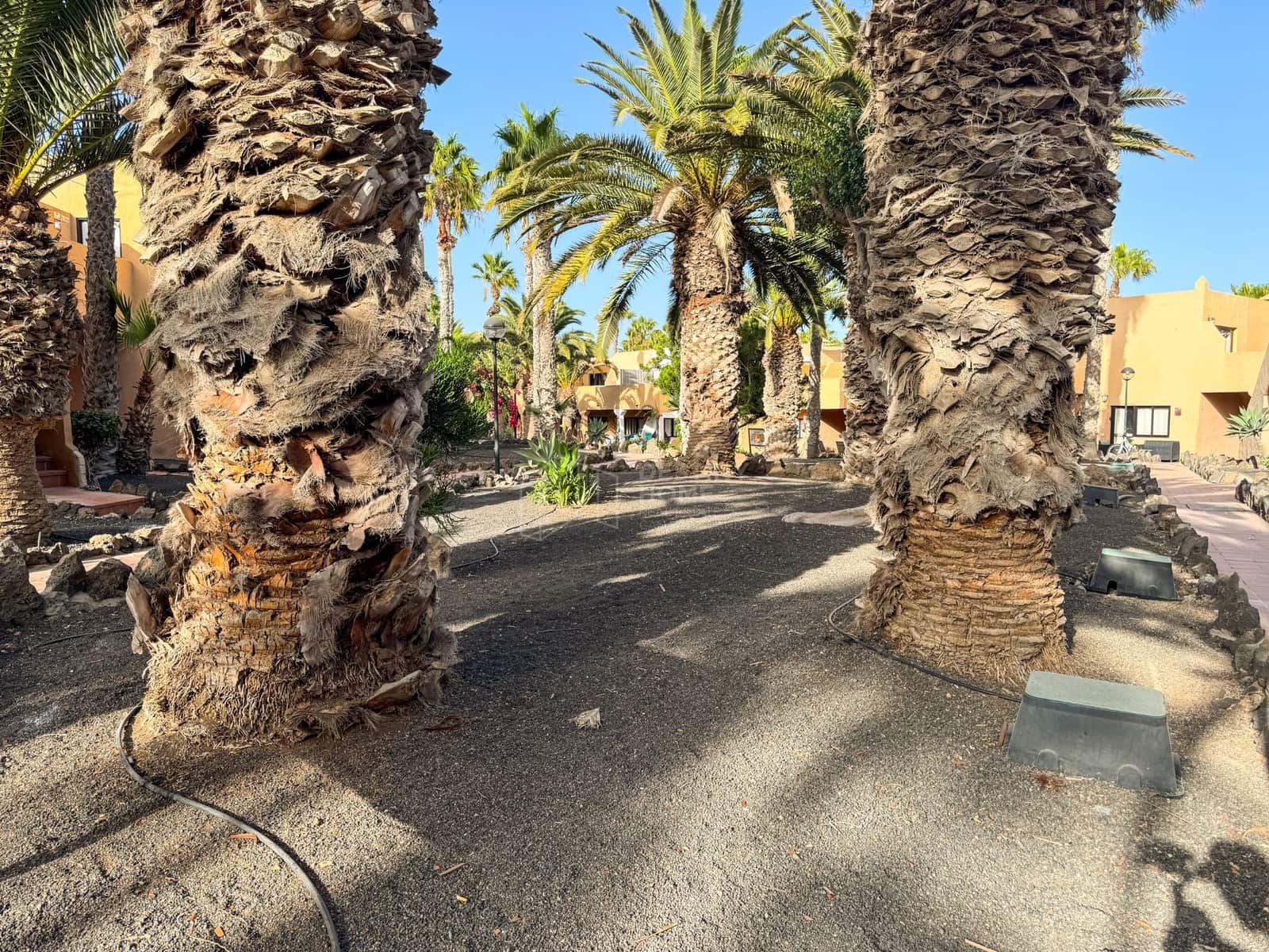 1 camera da letto Appartamento in vendita in Corralejo con piscina garage - 169.000 € (Rif: 9239627)