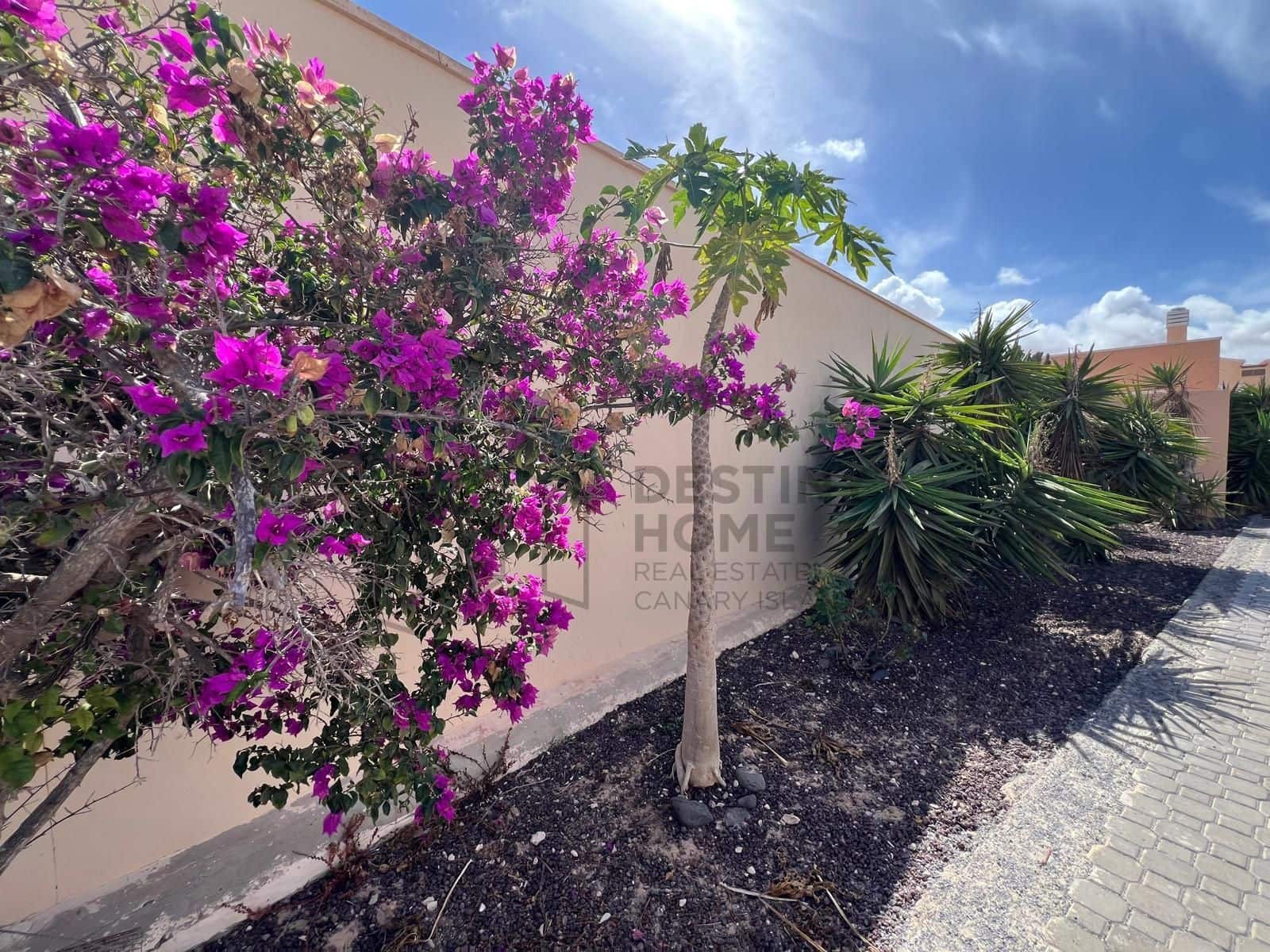 3 soverom Kjedet enebolig til salgs i Costa Calma med garasje - € 187 000 (Ref: 9349065)