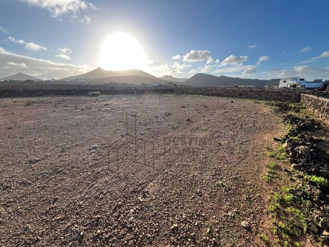 Grunde uden byggetilladelser til salg i Tindaya, La Oliva - € 119.000 (Ref: 9518522)