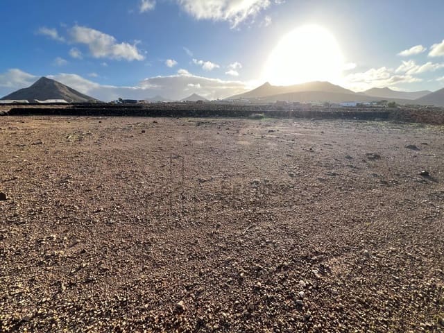 Grunde uden byggetilladelser til salg i Tindaya, La Oliva - € 119.000 (Ref: 9518522)