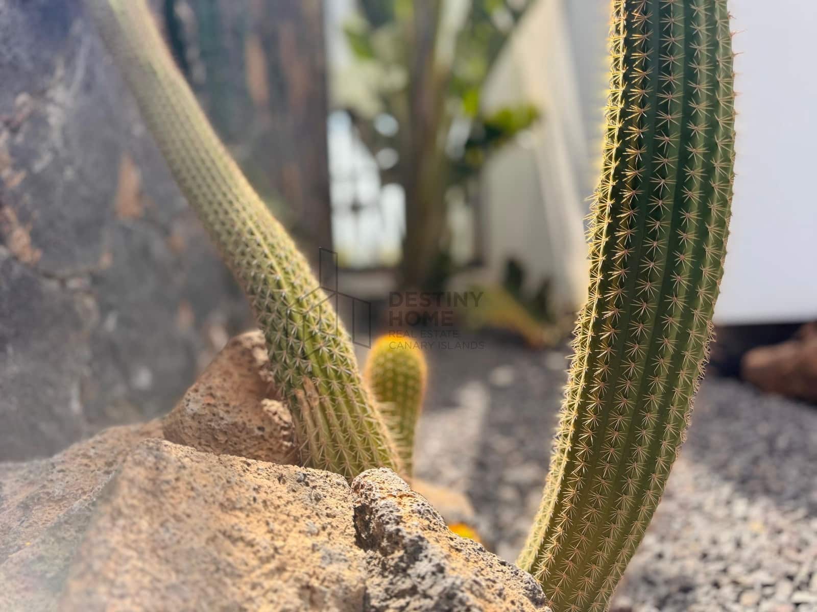 3 makuuhuone Huvila myytävänä paikassa La Oliva - 675 000 € (Ref: 9533314)