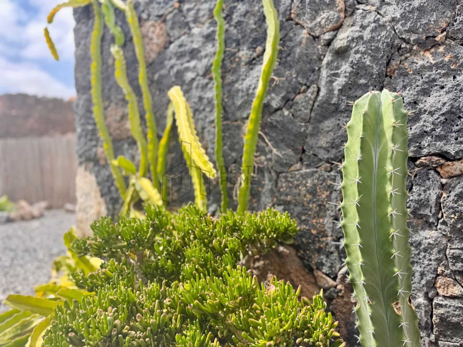 3 makuuhuone Huvila myytävänä paikassa La Oliva - 675 000 € (Ref: 9533314)