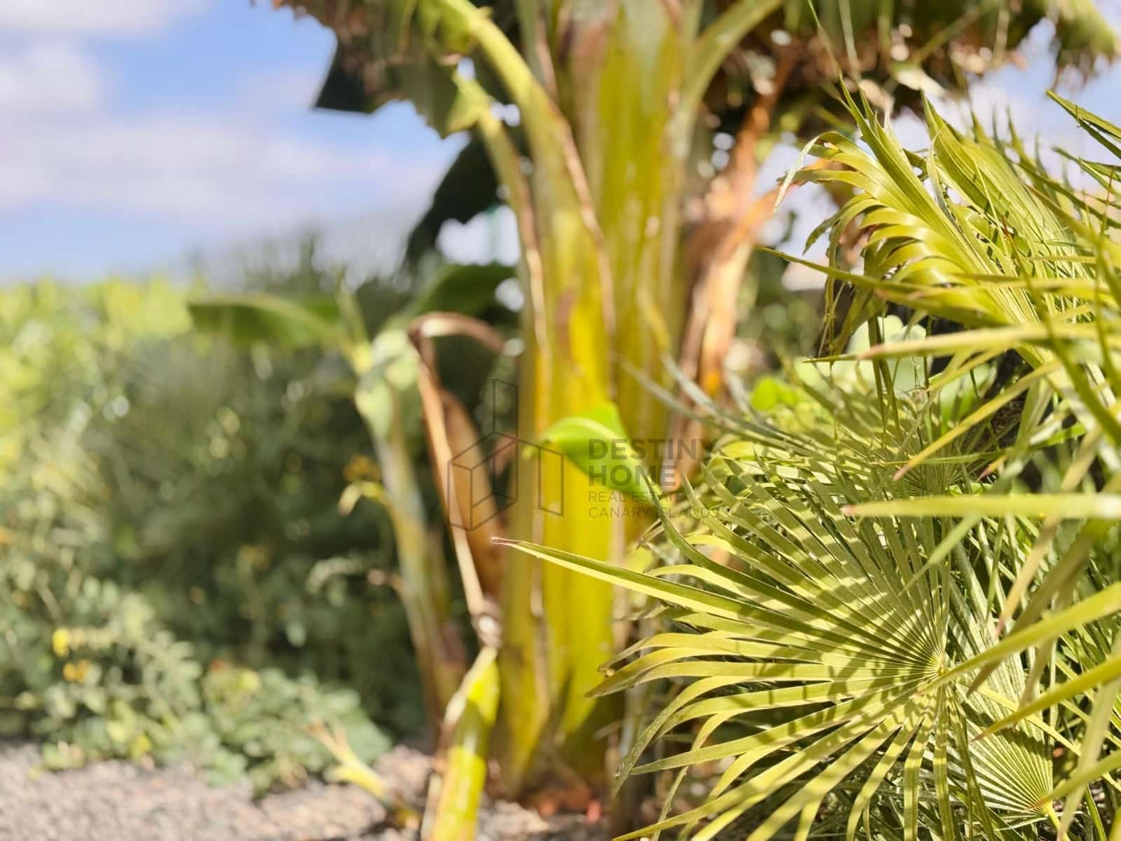 3 makuuhuone Huvila myytävänä paikassa La Oliva - 675 000 € (Ref: 9533314)