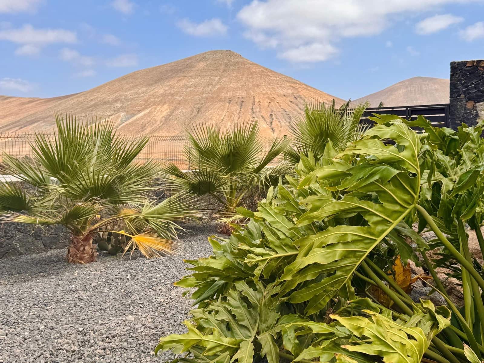 3 makuuhuone Huvila myytävänä paikassa La Oliva - 675 000 € (Ref: 9533314)