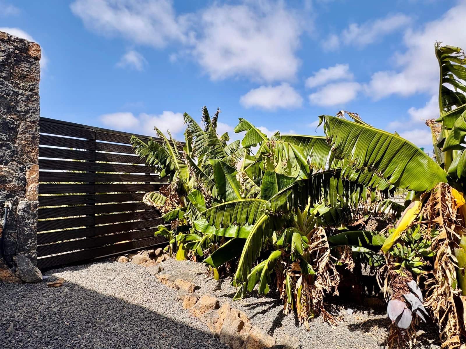 3 makuuhuone Huvila myytävänä paikassa La Oliva - 675 000 € (Ref: 9533314)