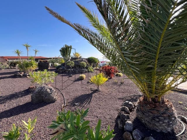 2 sypialnia Willa na sprzedaż w Parque Holandés, La Oliva z garażem - 550 000 € (Ref: 9627298)