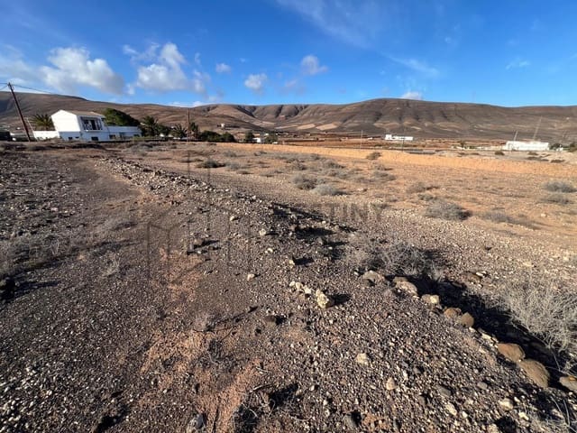 Terreno Non Edificato in vendita in Guisguey, Puerto del Rosario - 135.000 € (Rif: 9644558)