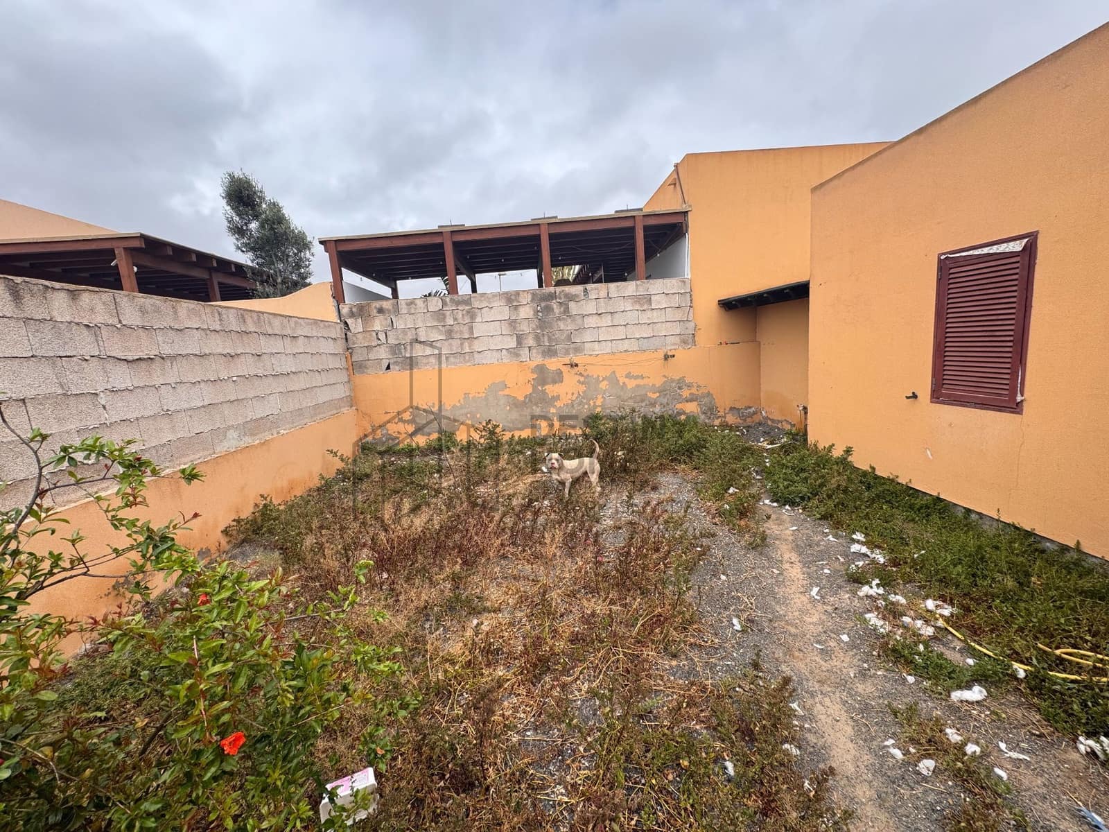 2 bedroom Semi-detached Villa for sale in Corralejo with garage - € 220,000 (Ref: 9811301)