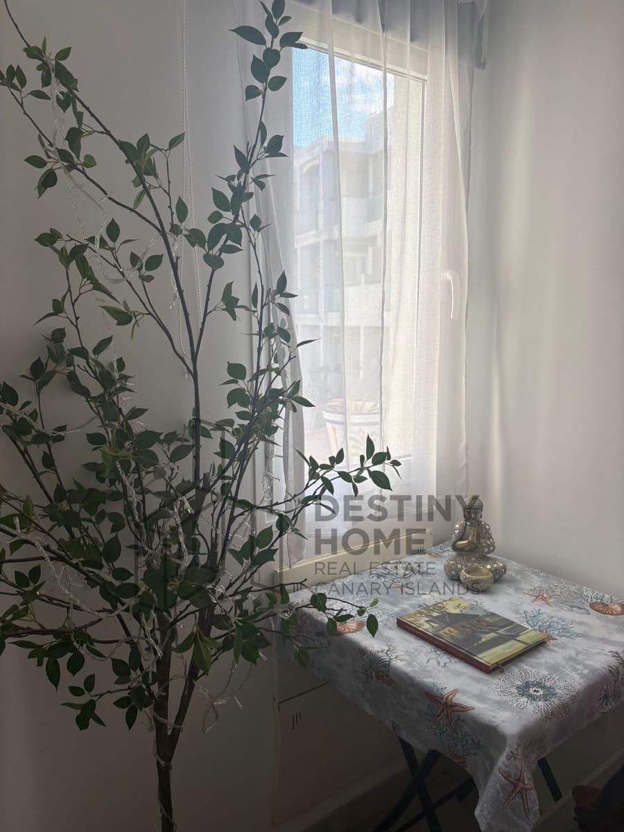1 sovrum Lägenhet att hyra i Corralejo med pool - 1 200 € (Ref: 9830776)