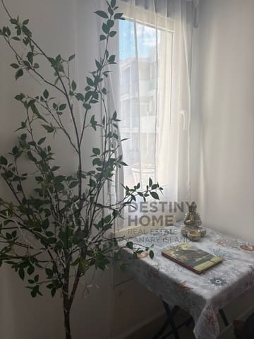 Apartamento de 1 habitación en Corralejo, La Oliva en alquiler con piscina - 1.200 € (Ref: 9830776)