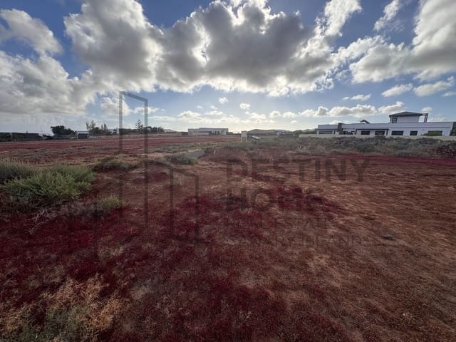 Finca/Landehus til salg i Villaverde, La Oliva - € 300.000 (Ref: 9838950)