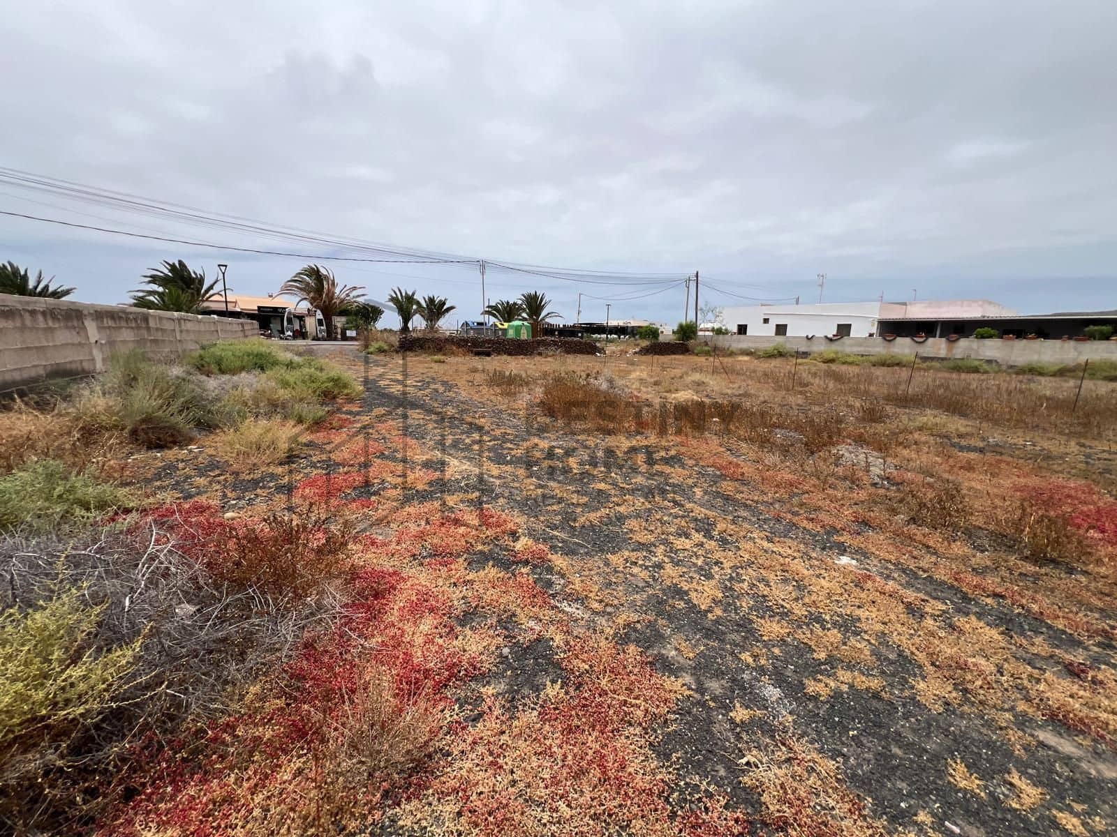 Undeveloped Land for sale in Lajares - € 730,000 (Ref: 9884179)