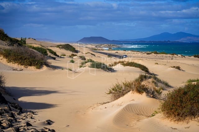 Pareado de 2 habitaciones en Corralejo, La Oliva en venta con piscina garaje - 315.000 € (Ref: 9974719)