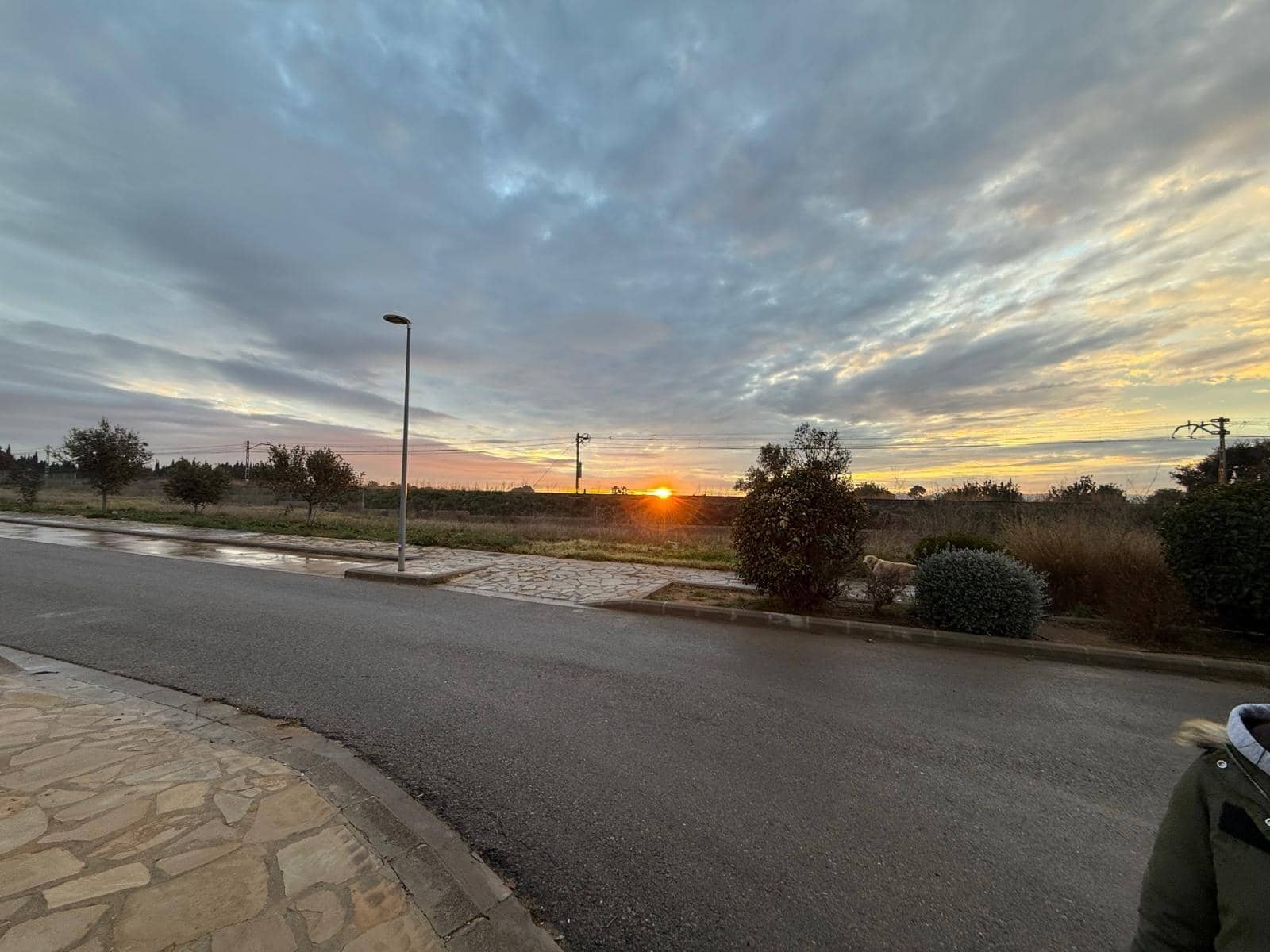 Byggetomt til salgs i Carlet - € 155 000 (Ref: 6641447)