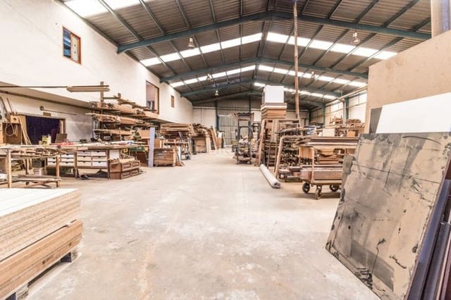 Azienda in vendita in Benimodo - 570.000 € (Rif: 6641609)