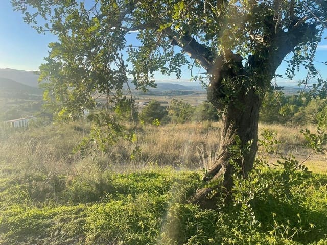 Undeveloped Land for sale in Llombai - € 12,000 (Ref: 7545685)