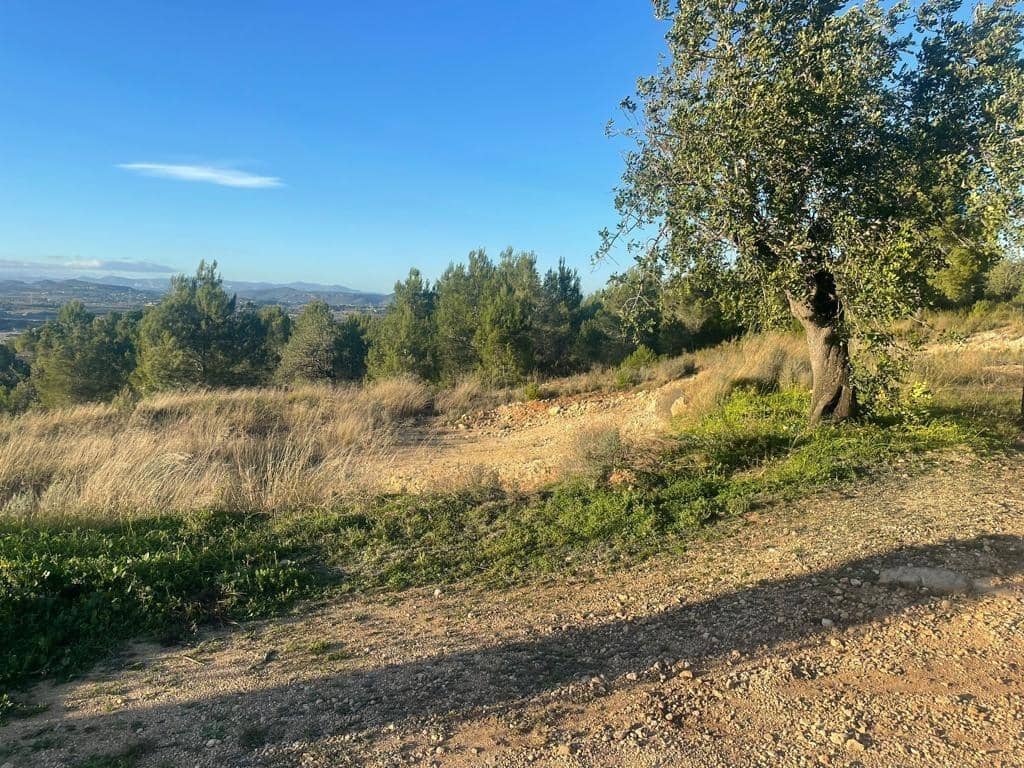 Grond te koop in Llombai - € 12.000 (Ref: 7545685)