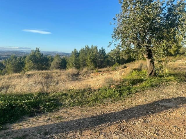 Undeveloped Land for sale in Llombai - € 12,000 (Ref: 7545685)